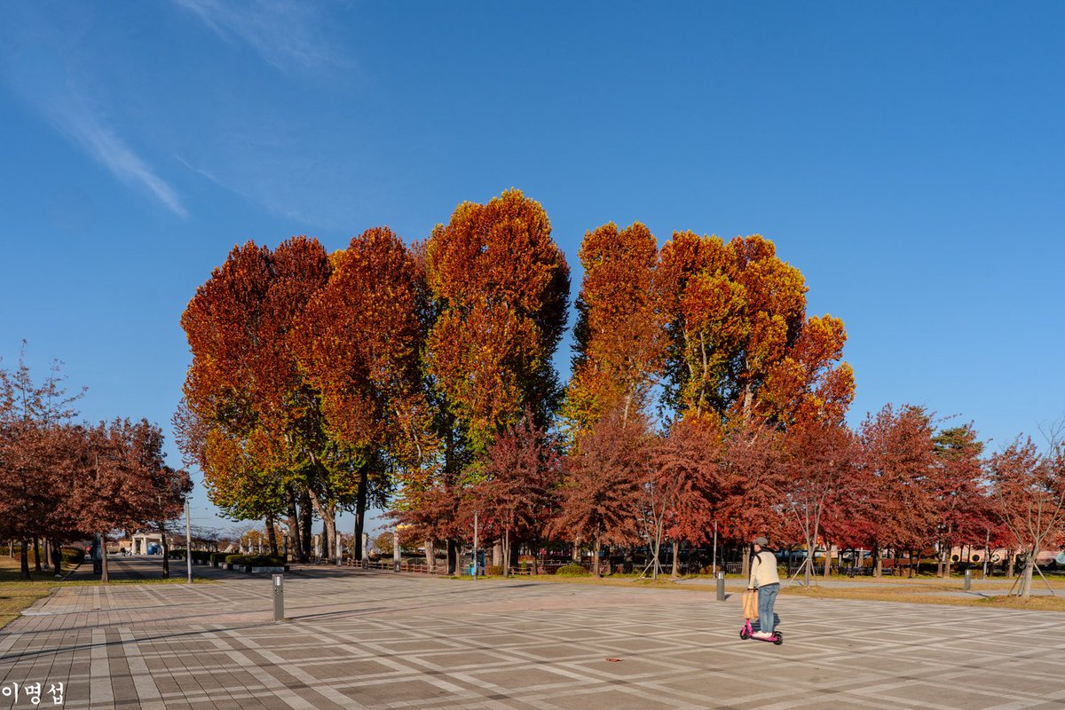 이명섭 tweet media