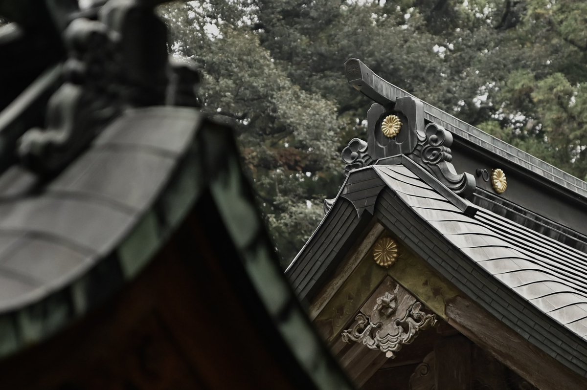 CyPm4f's tweet image. #写真好きな人と繋がりたい
高原町、狭野神社にて。