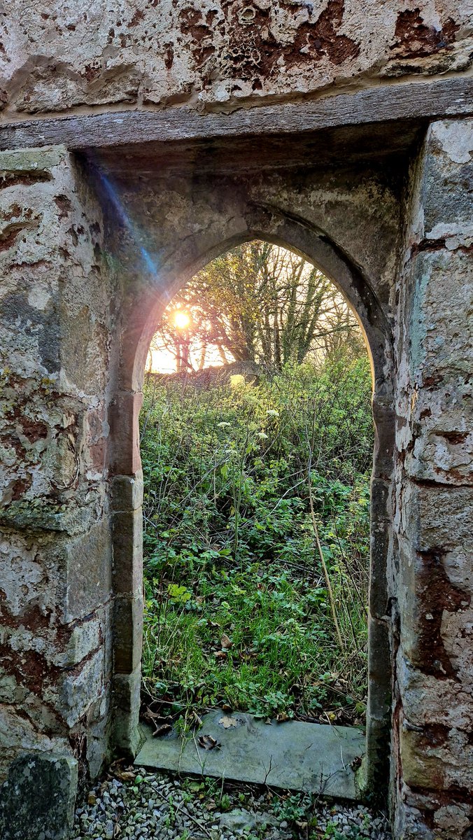 Petersfield Bookshop tweet media
