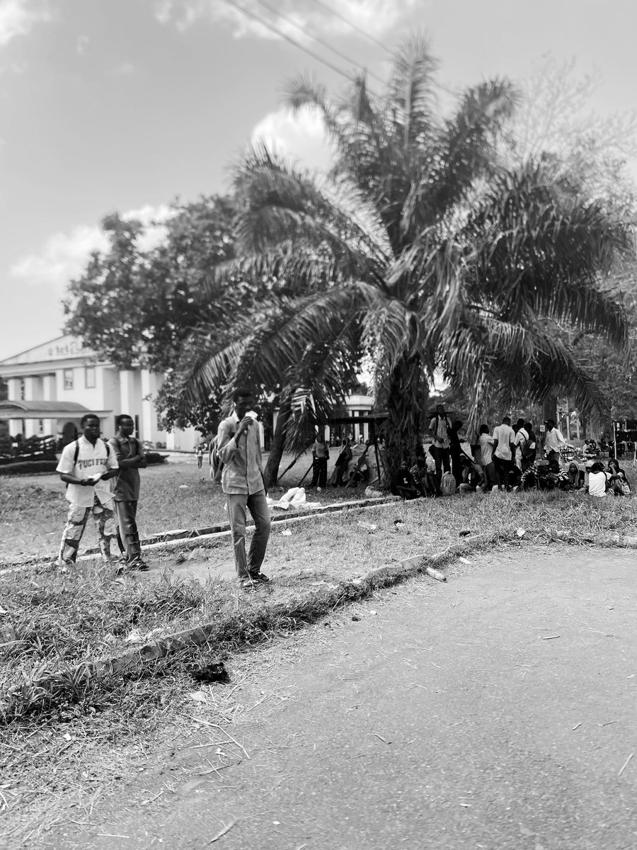 Jvstheman's tweet image. omo 🤧😔

Some lecturers no fit see heaven 

But Alhamdulillah sha 😂😂😁

It was a sunny afternoon here all my brain hot 

Anyways back to preaching —&amp;gt;@Infinit_Labs 

manual defi is exhausting @Infinit_Labs makes it effortless

DeFi moves fast, but users often get slowed down by…