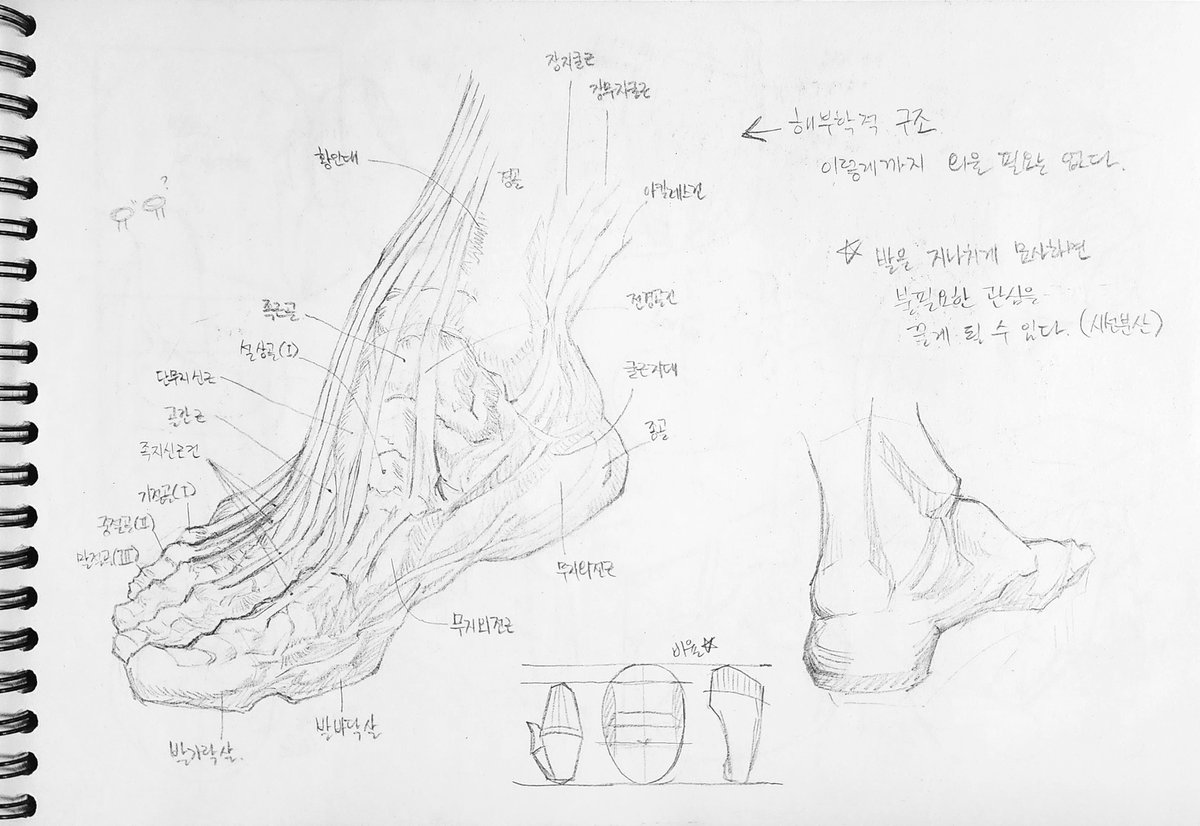 태세 tweet media