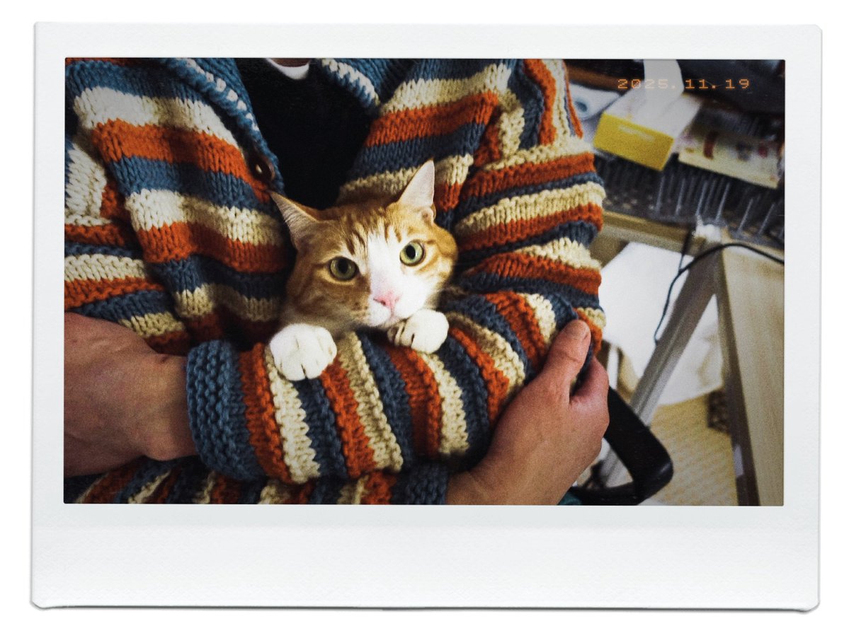 pm_kirua's tweet image. 