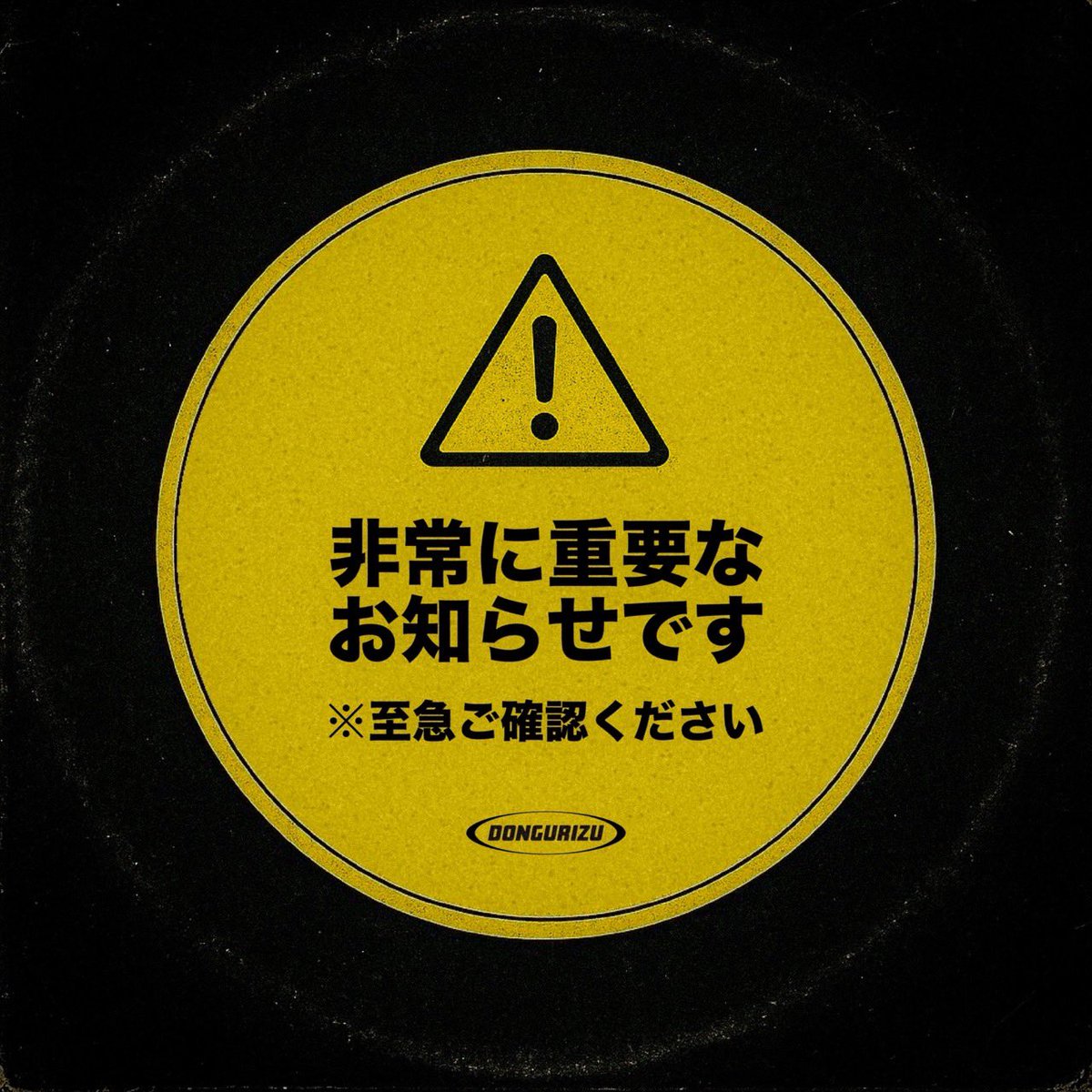 どんぐりず DONGURIZU (@dongurizu) / Posts / X