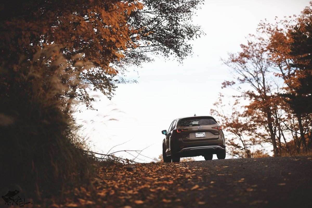 cx5_with_frogs's tweet image. もうスタッドレス履かないとダメなんですか！！！

#cx5 #withmazda
