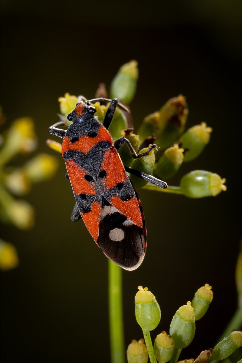 Fotos guanyadores del concurs Delta del Llobregat.

elprat.digital/?p=127207