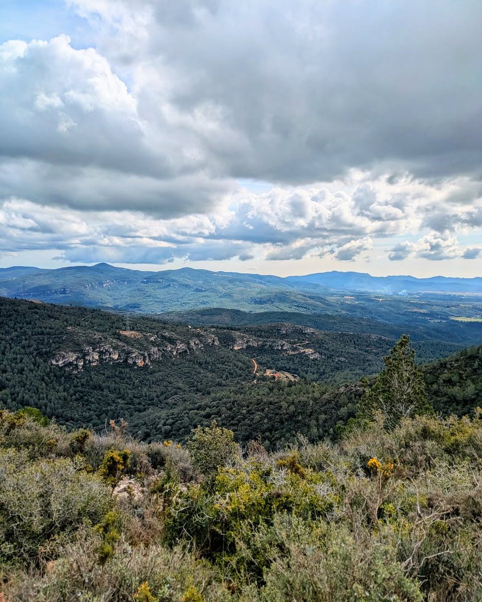 costadauradatur's tweet photo. 🚶♀️Veniu a descobrir els paisatges de tardor de #Querol, entre natura i patrimoni? L'església de Santa Maria, el castell del segle X, Sant Jaume de Montagut o l'hort de les salamandres, un indret ple de vida, us hi esperen!
📷 @ConsellAltCamp, @AnnaSaballs
#CostaDauradaInterior https://t.co/YmAs800dIj