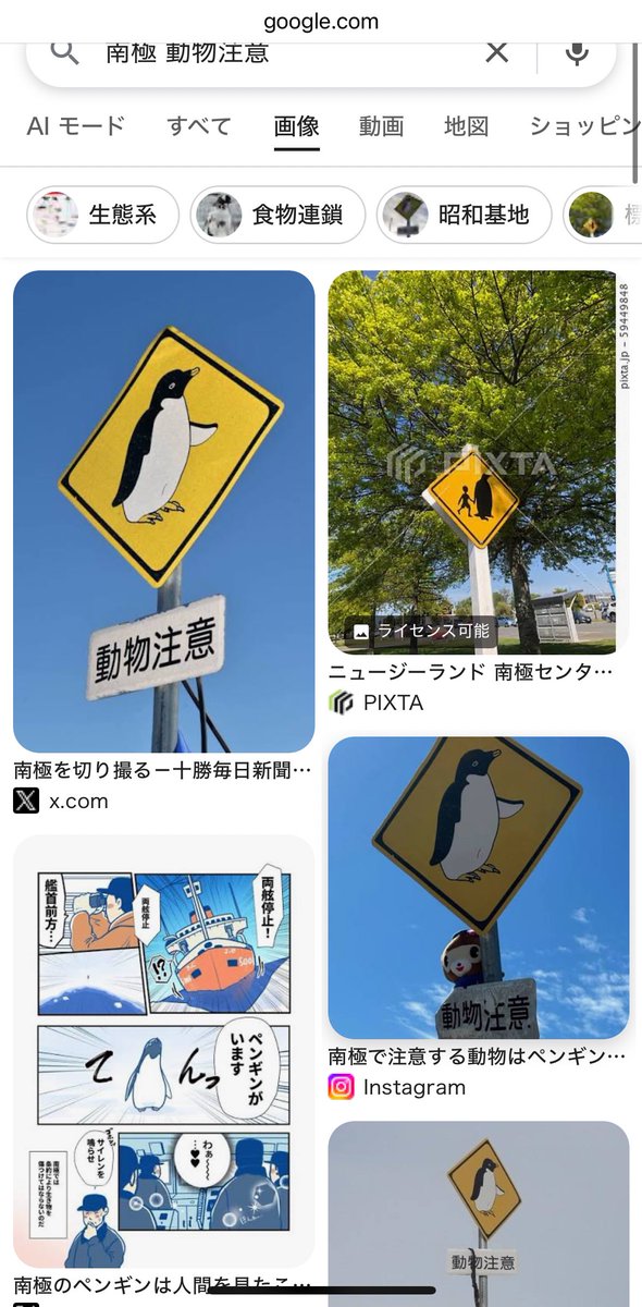 南極昭和基地にはアデリーペンギンの絵が描かれた動物注意の看板が建てられているのですが、この看板が可愛くって。デザインするにあたって作業用レスキューオレンジウェアを着てもらいました。現地の写真も見せてもらいましたがSNSで使えないので...Google画像検索の結果でも🐧