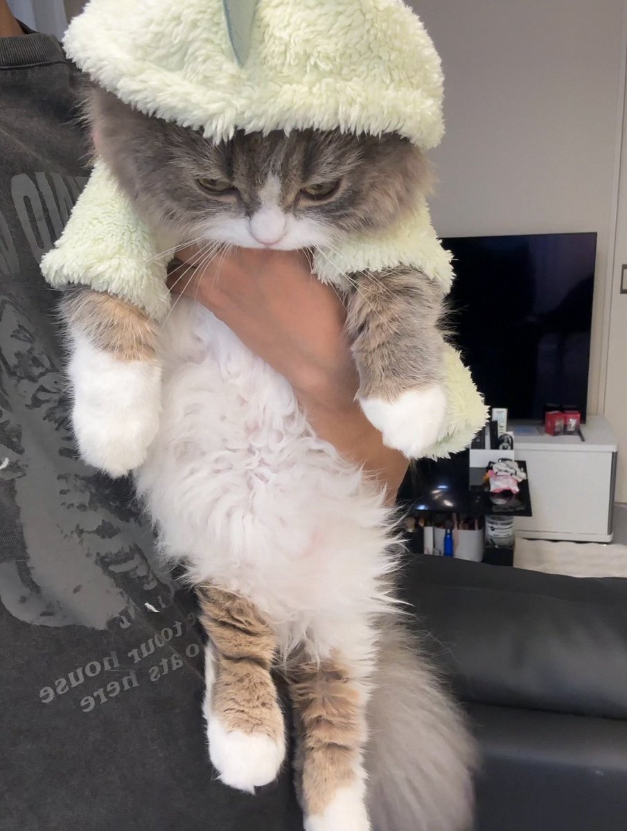 ゆったりめで選んだはずのサイズ（犬用）がパンパンで気まずい