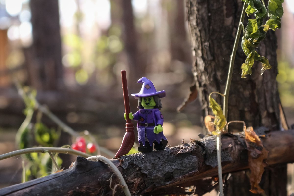 Specter_photos's tweet photo. Witch 🧹 https://t.co/Up1Zl9Owzs