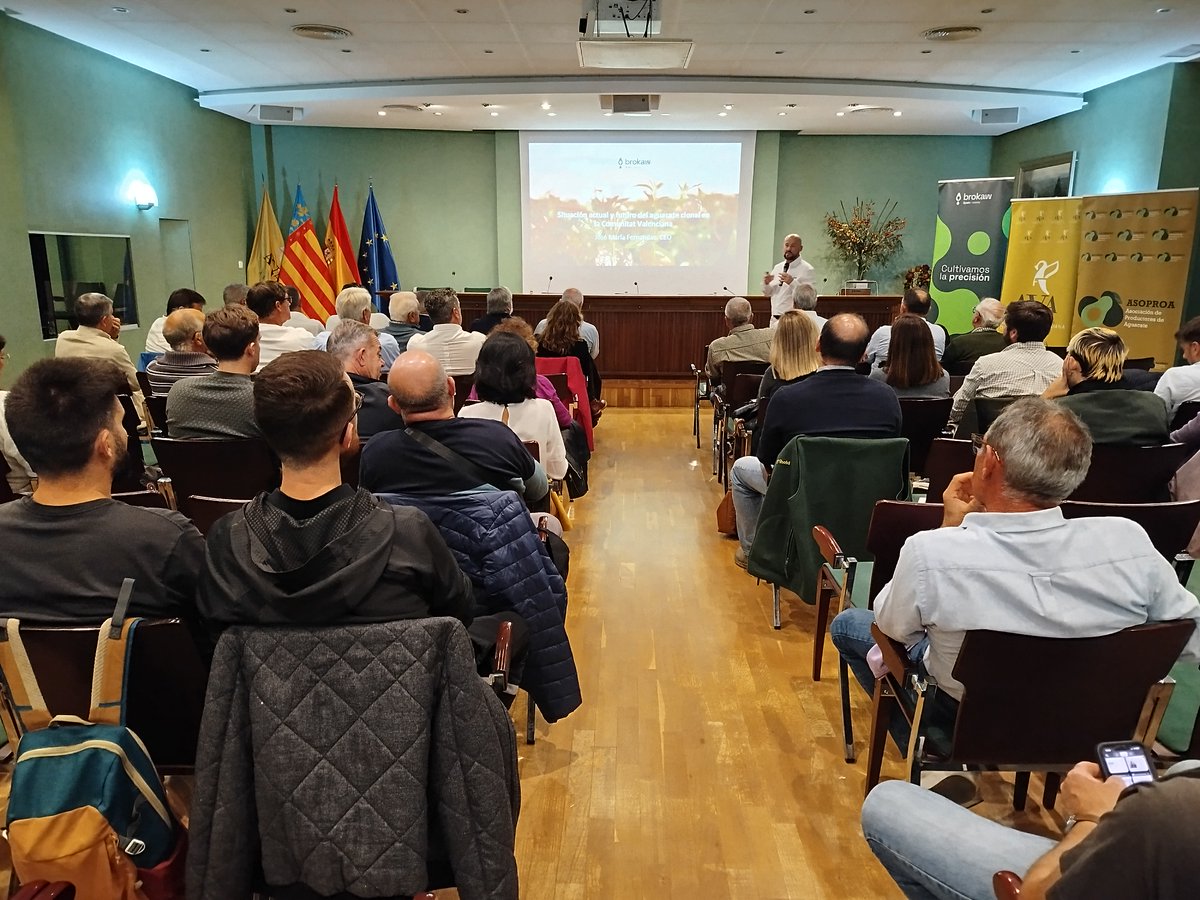ava_asaja's tweet photo. 🥑 Valencia acogió ayer la primera jornada técnica sobre el aguacate clonal, organizada por @ava_asaja, #ASOPROA y @BrokawViverosEs y con la asistencia del conseller @GVAagricultura @BarrachinaM.
Esta tarde habrá otra jornada en Castellón. ✍️ Inscríbete en info@asoproa.es https://t.co/wUi6g2iGMn