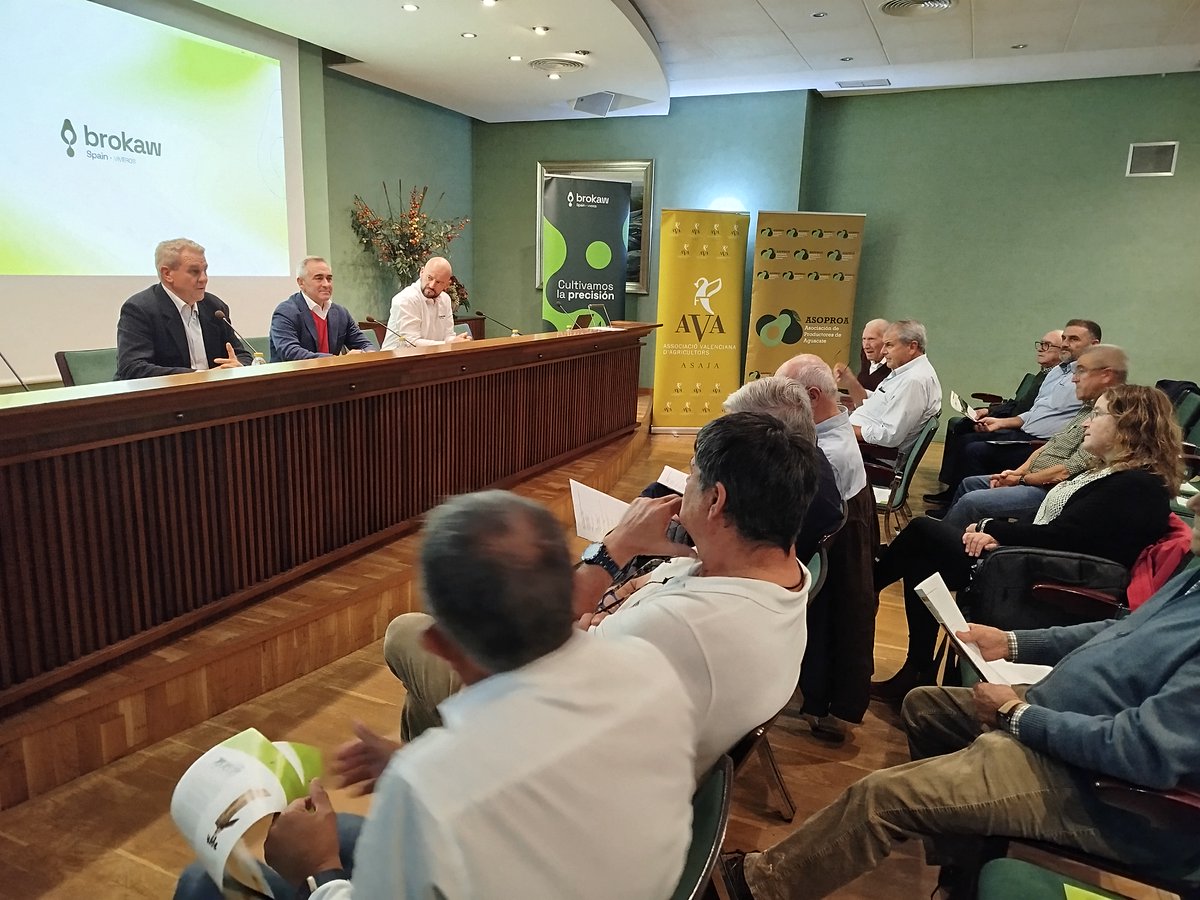 ava_asaja's tweet photo. 🥑 Valencia acogió ayer la primera jornada técnica sobre el aguacate clonal, organizada por @ava_asaja, #ASOPROA y @BrokawViverosEs y con la asistencia del conseller @GVAagricultura @BarrachinaM.
Esta tarde habrá otra jornada en Castellón. ✍️ Inscríbete en info@asoproa.es https://t.co/wUi6g2iGMn