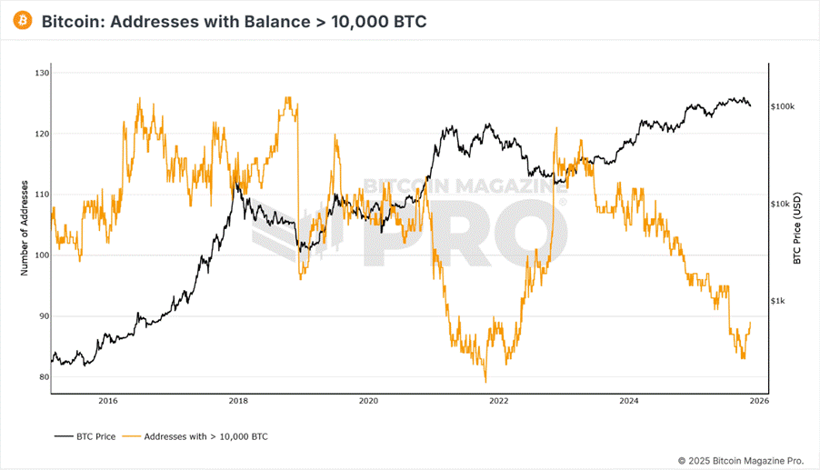 Wiston Capital tweet media