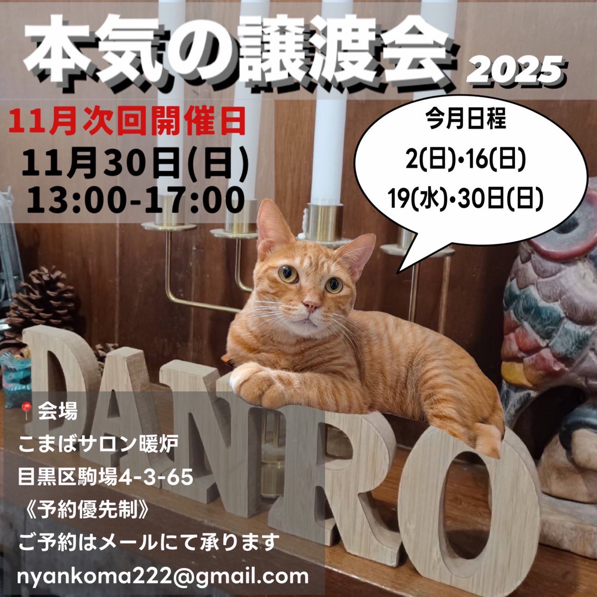 依頼者優先購入　title「睨み猫」 京東都ソラマチ店POP-UP「ねこ展5 with 王冠印雑貨店」 作家紹介【白亜