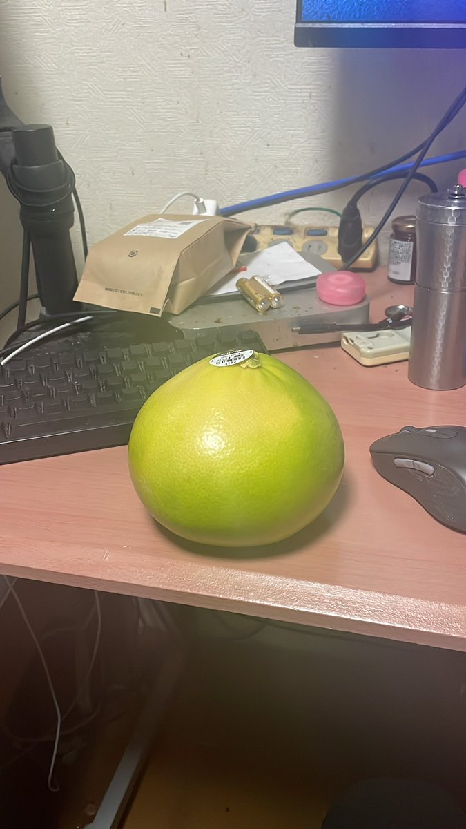 かめ (@kamesen) / Posts / X