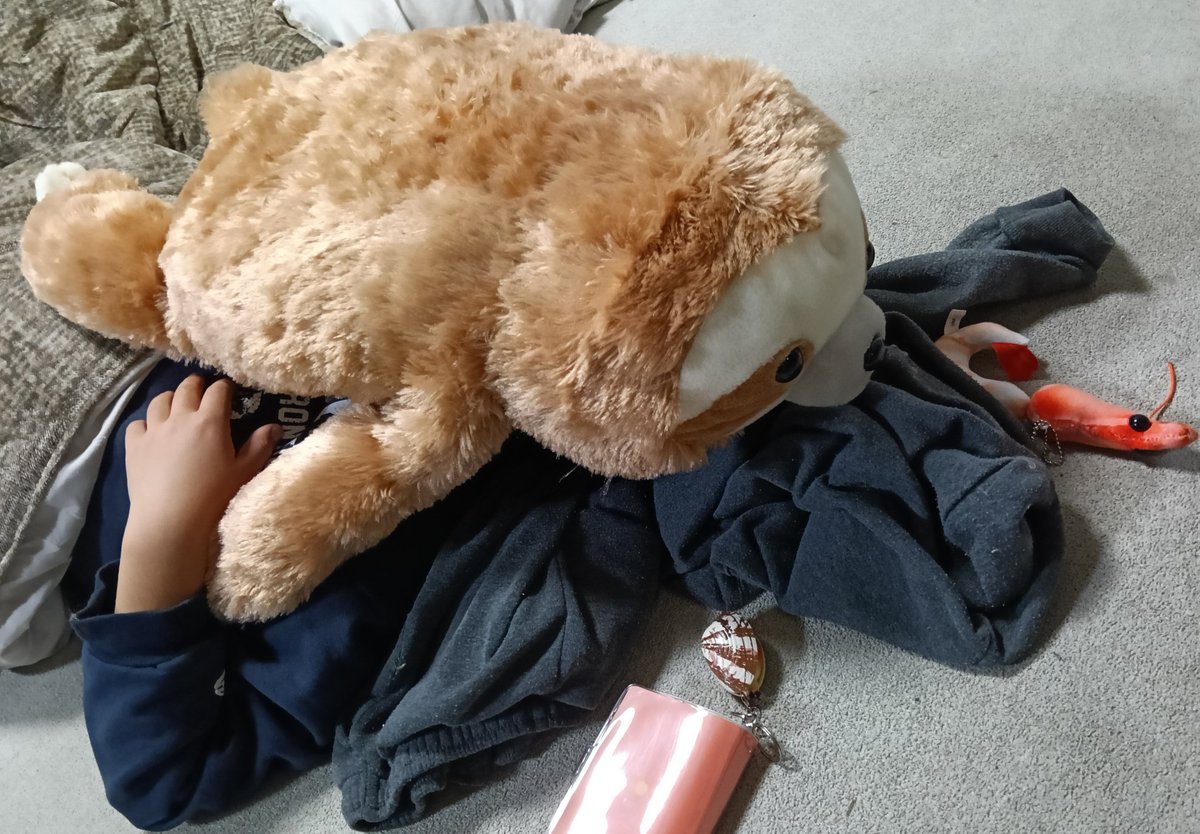 松ぼっくりと人 まつぼっくり (@pommedepin_ma) / Posts / X