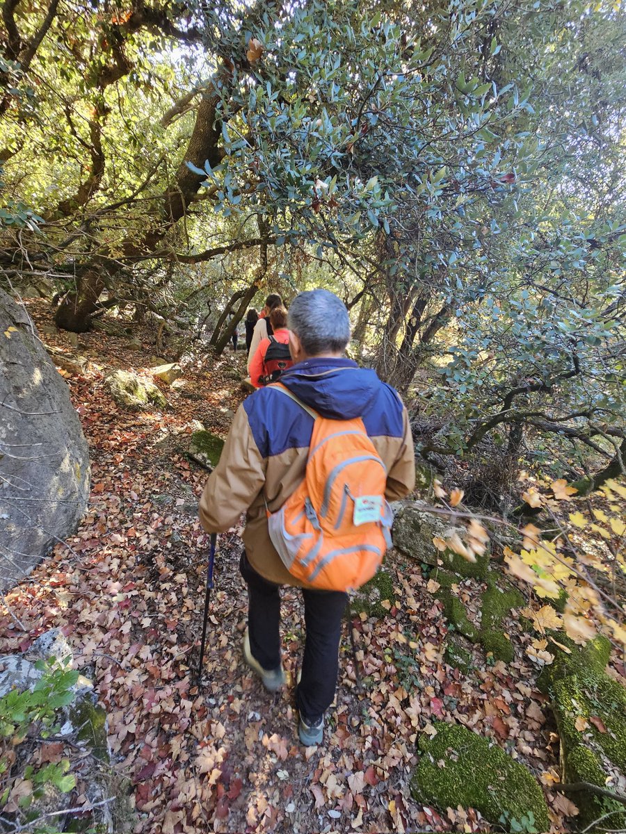 Sabeu que a les #muntanyesdePrades encara trobem les traces dels "camins de creu"?
Camins i corriols de muntanya per on havia transitat un mort per a ser enterrat i que, segons la tradició, han de ser conservats i respectats.
I sabeu de l'existència dels "reposadors dels morts"?