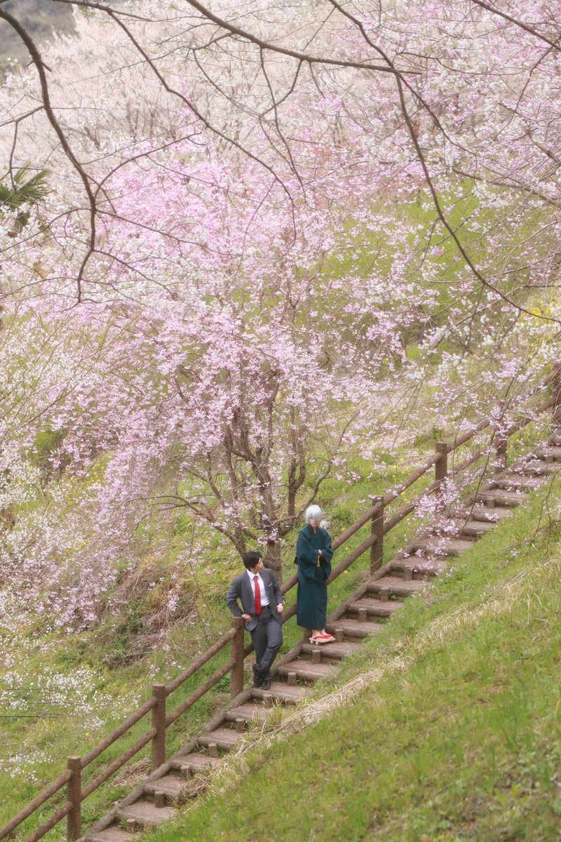 撮影させていただきましたー🌸🌸🌸