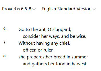 PeterLakewood's tweet image. The Bible literally commands us to study ants in order to be &quot;wise&quot;