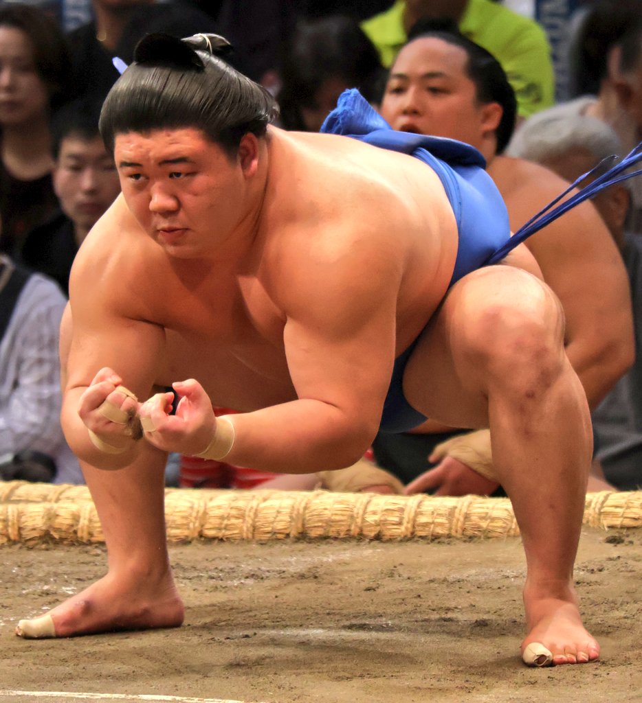 なんだこの筋肉の塊ー！
#藤ノ川 #伊勢ノ海部屋