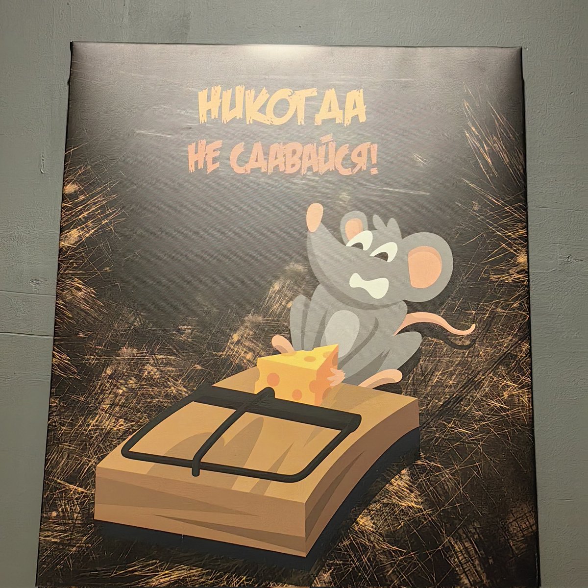 В туалете спортзала каждый раз цепляет взгляд странный мотиватор, подбадривающий какателей изображением мыши, которую вот-вот должно распополамить взведённой мышеловкой