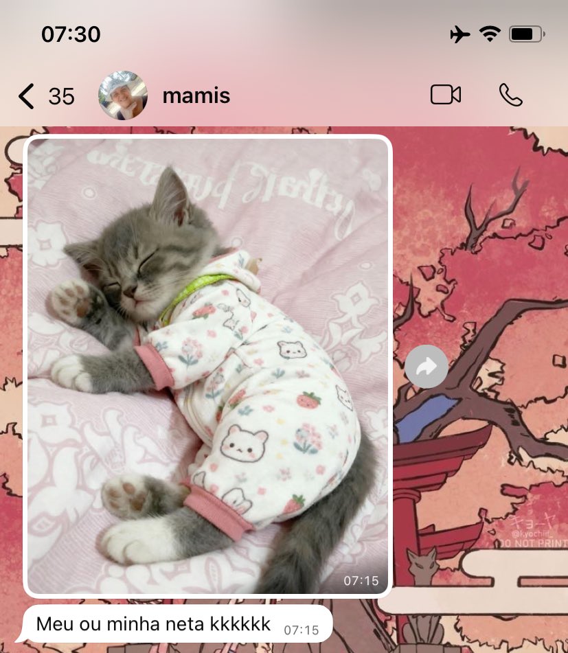 minha mae ja aceitou