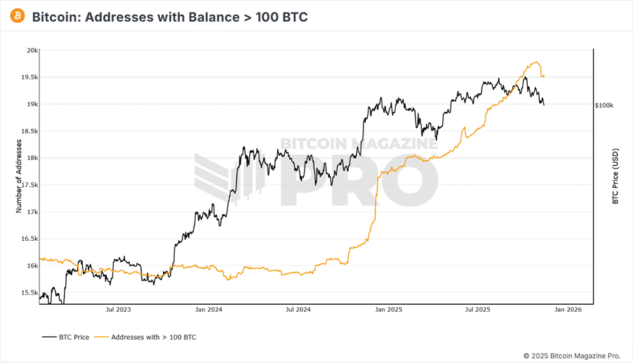 Wiston Capital tweet media