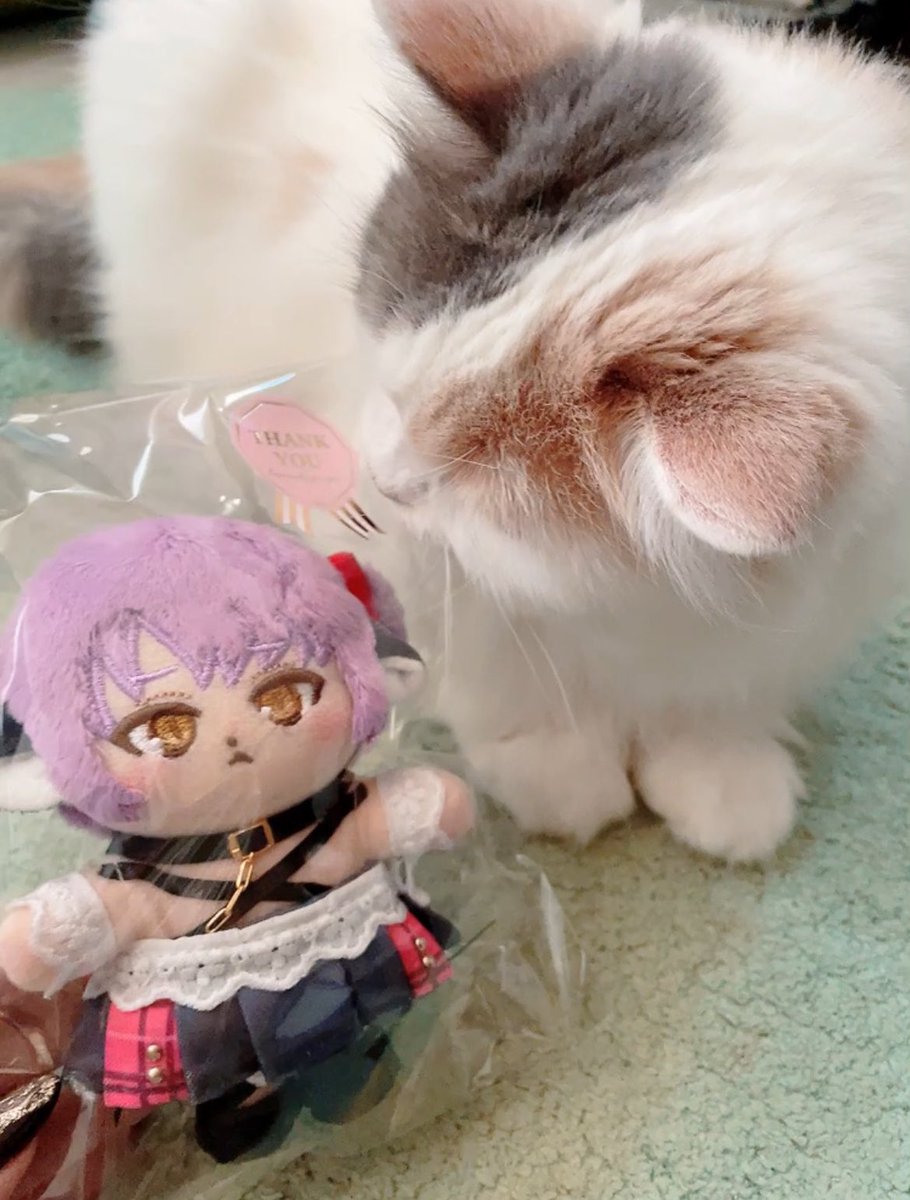 ついに夢のオリジナルぬいぐるみを手に入れた…！ chacha＠ぬいぐるみ