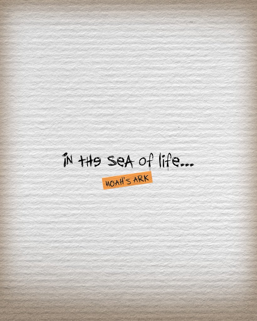 Noah's Ark Ad Agency tweet media