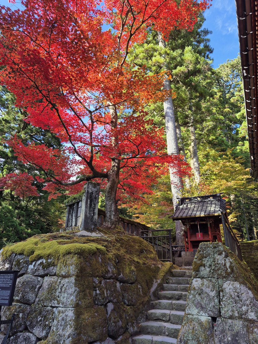 お定のサブ垢 tweet media