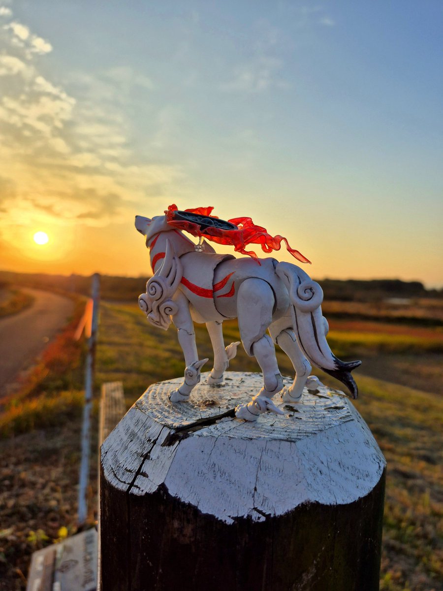 お定のサブ垢 tweet media