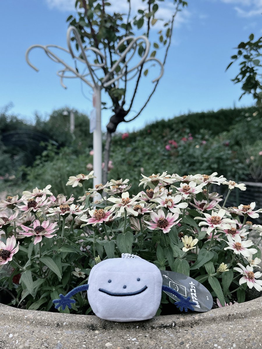 NeonECW's tweet image. 本日❄