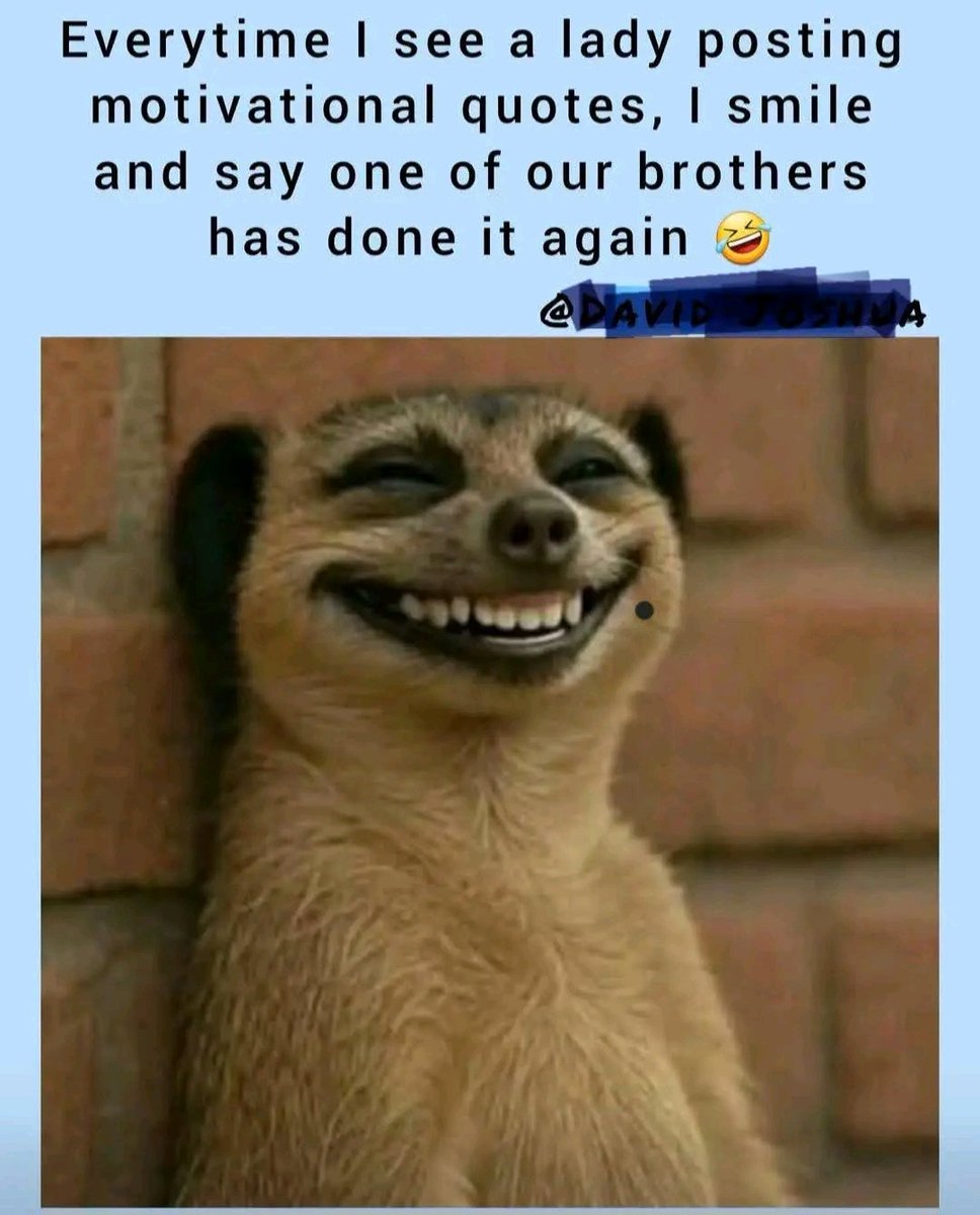 mcauthur_lokie's tweet image. 