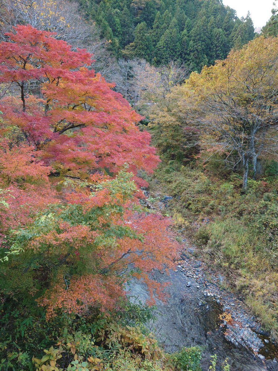 yasu1569's tweet image. 休みをもらって