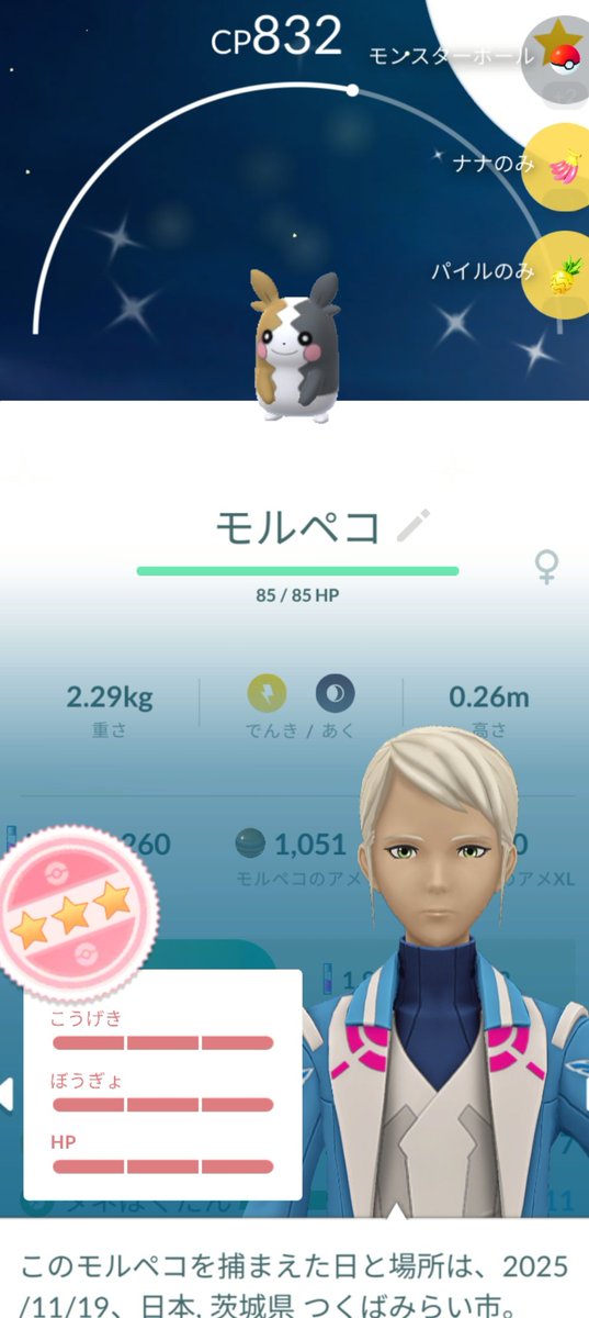 31Esmeralda31's tweet image. モルペコ色違い💯で神✨

#ポケモンGO #PokemonGO 
#ポケGO #個体値100 #色違い
#モルペコ