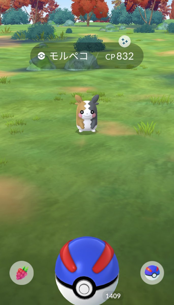 31Esmeralda31's tweet image. モルペコ色違い💯で神✨

#ポケモンGO #PokemonGO 
#ポケGO #個体値100 #色違い
#モルペコ