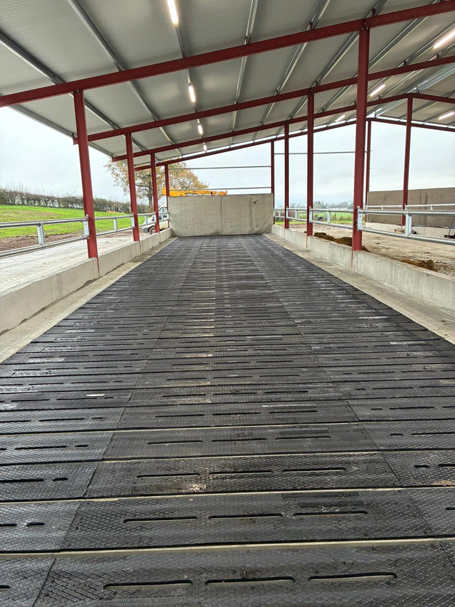 EASYFIXOfficial's tweet photo. 5 bays of SR Slat Mats in Westmeath🐄

Our Slat Mats provide the perfect combination of comfort &amp; grip – providing farmers with peace of mind and cattle the comfort they deserve 💤

✅ Reduces lameness
✅ Improves welfare &amp; performance
✅ 5 year warranty 

https://t.co/ESWJjZ9764 https://t.co/S2VLyhDTul