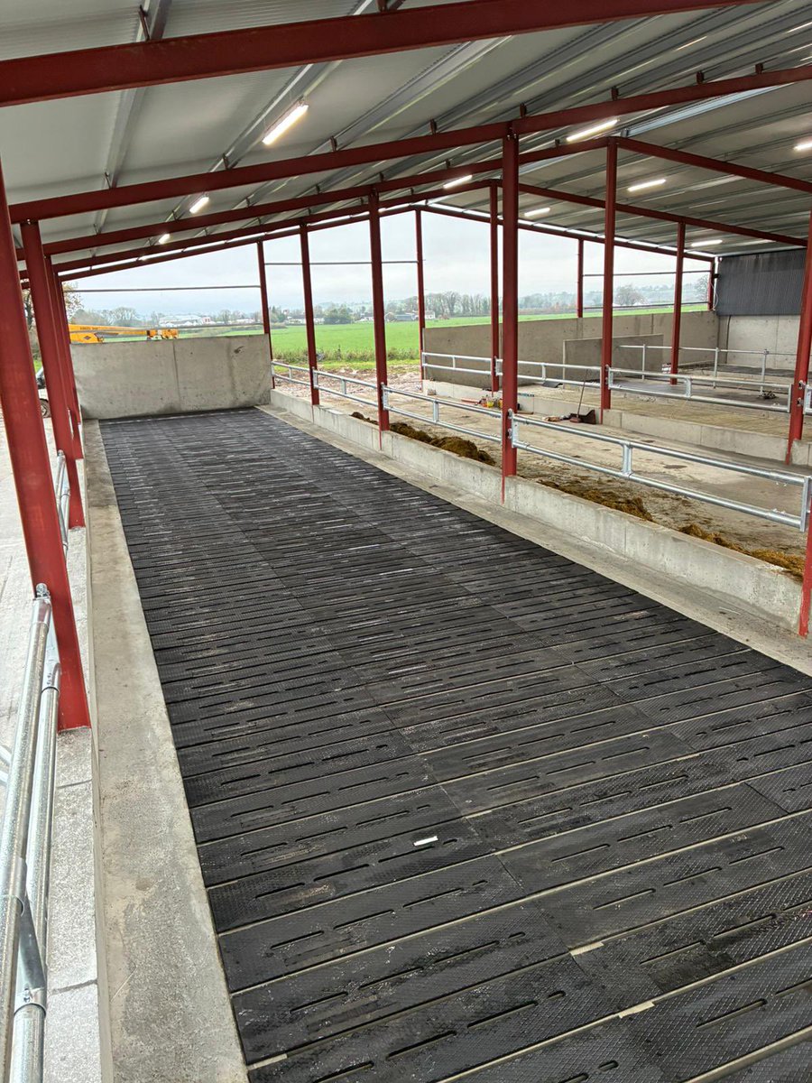 EASYFIXOfficial's tweet photo. 5 bays of SR Slat Mats in Westmeath🐄

Our Slat Mats provide the perfect combination of comfort &amp; grip – providing farmers with peace of mind and cattle the comfort they deserve 💤

✅ Reduces lameness
✅ Improves welfare &amp; performance
✅ 5 year warranty 

https://t.co/ESWJjZ9764 https://t.co/S2VLyhDTul