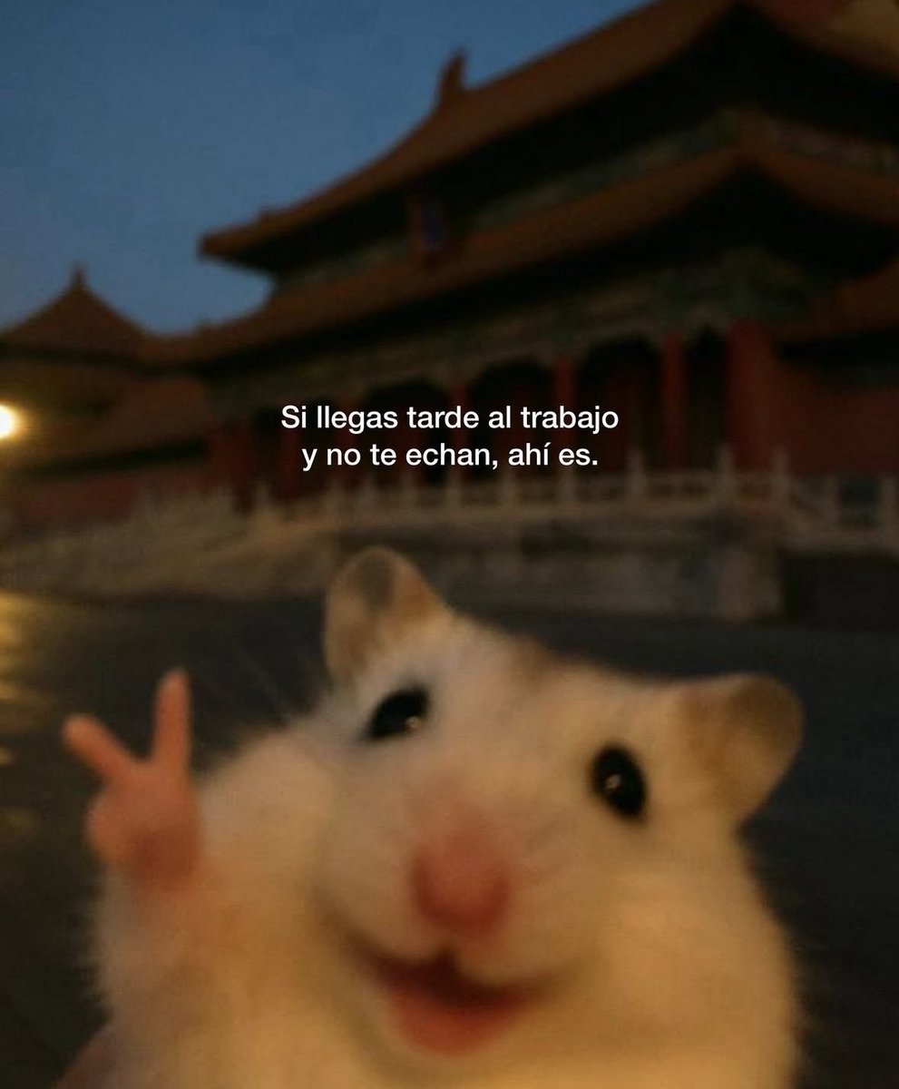 dilocondibujos_'s tweet image. Ahí es