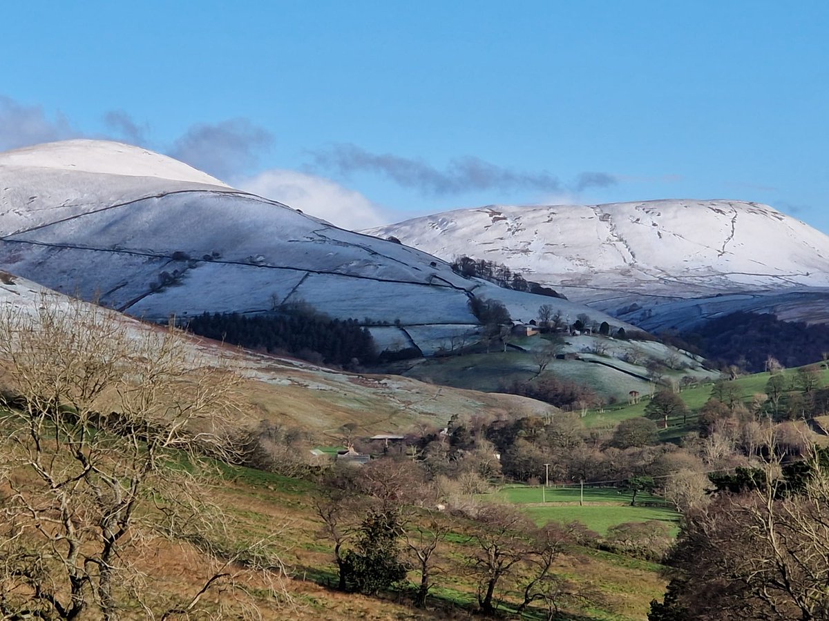 annockh's tweet image. Hubby is walking in Yorkshire dales so an early #snow #Treeclub #itssnowing