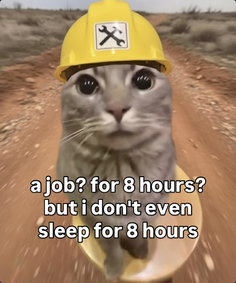 James Di Giorgio (@mapache_exe) on Twitter photo 