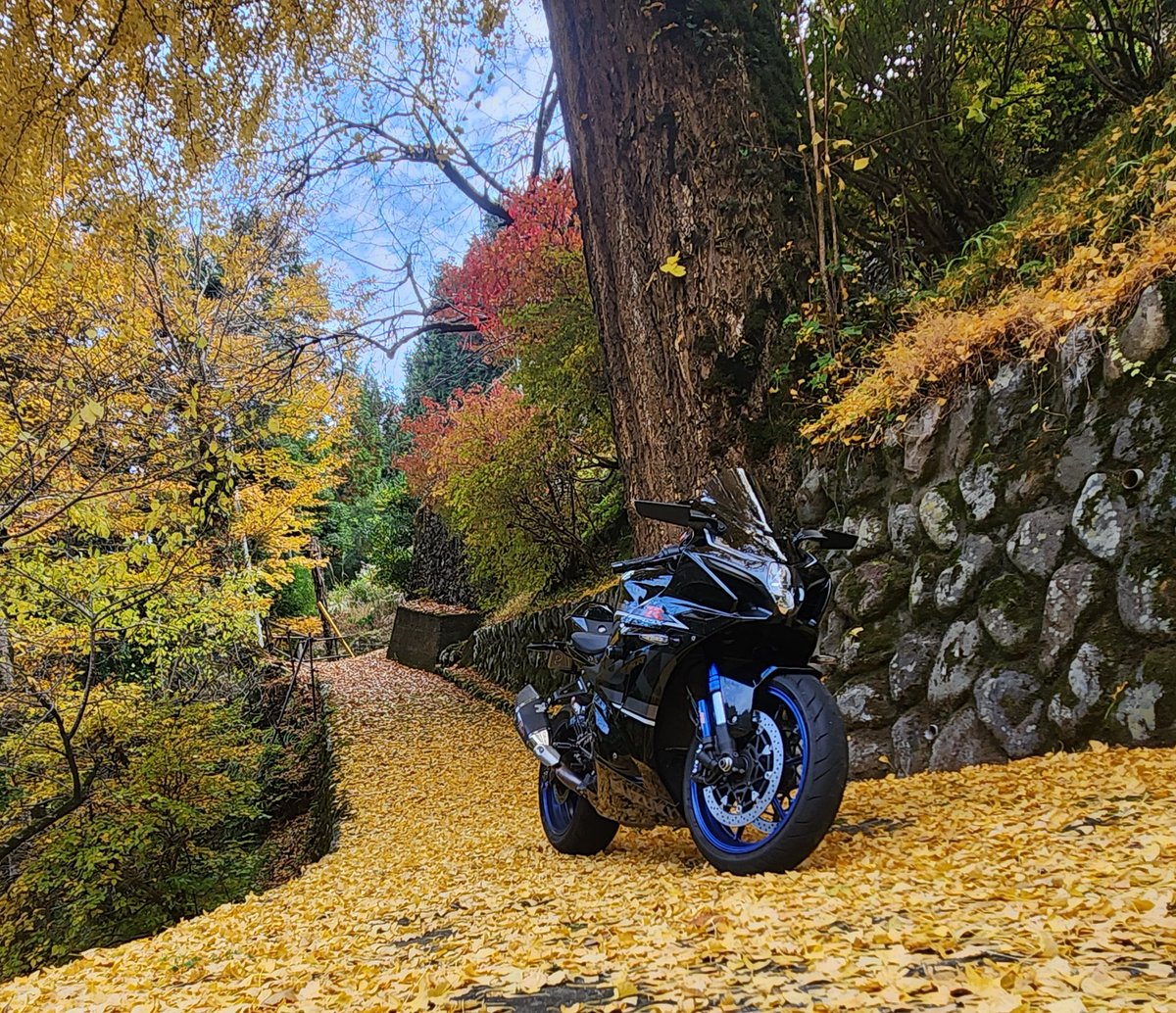 今年も一応ね！