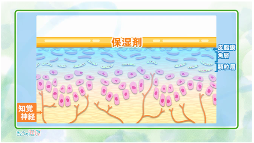 SkinNotes's tweet image. 【アトピーに効果的な保湿】

「入浴直後で皮膚が潤っているときに保湿剤を使って皮膚に『フタ』をすれば、皮膚バリアの代わりに水分の蒸発や外からの刺激を防いでくれます」

化粧水を使用する場合も、フタをしないと水分が蒸発してしまうので注意です。

#スキンケア

引用：mtlnk.net/j_s%253A%252F%…