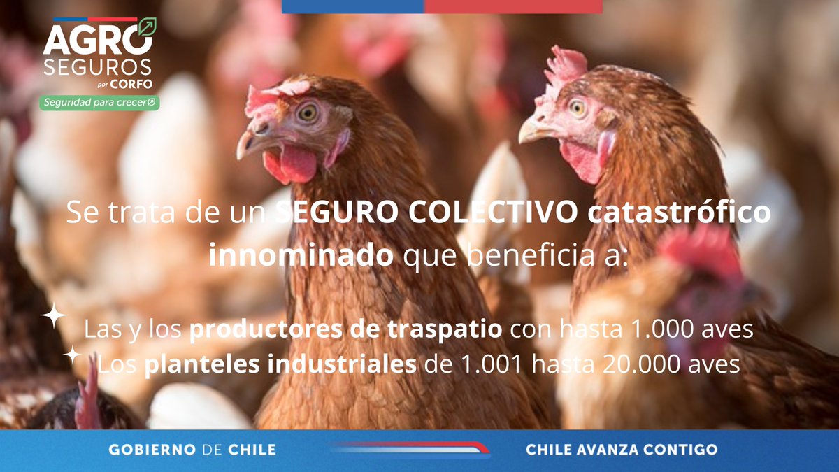 ⁉️¿En qué consiste el Seguro de Enfermedades Exóticas para Aves que contrató directamente AGROSEGUROS?

Es un seguro de tipo colectivo que forma parte de la estrategia de combate sanitario de la Influenza Aviar, Newscastle, y otras enfermedades.

Info ➡️bit.ly/3LM5cbl