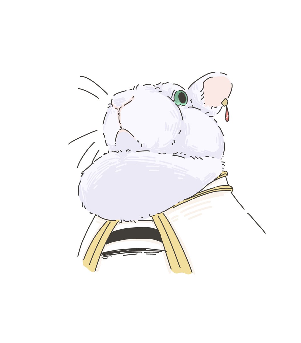 zoo69712356's tweet image. 