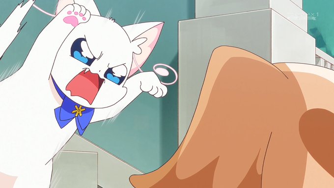 しゃー! #precure #tokyomx 