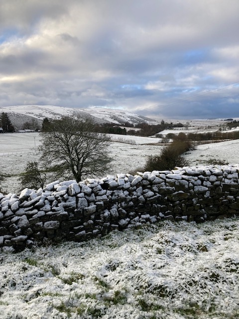 BorderSoftware's tweet image. We definitely have an office with a view😀#Bordersoftware #FarmIT3000