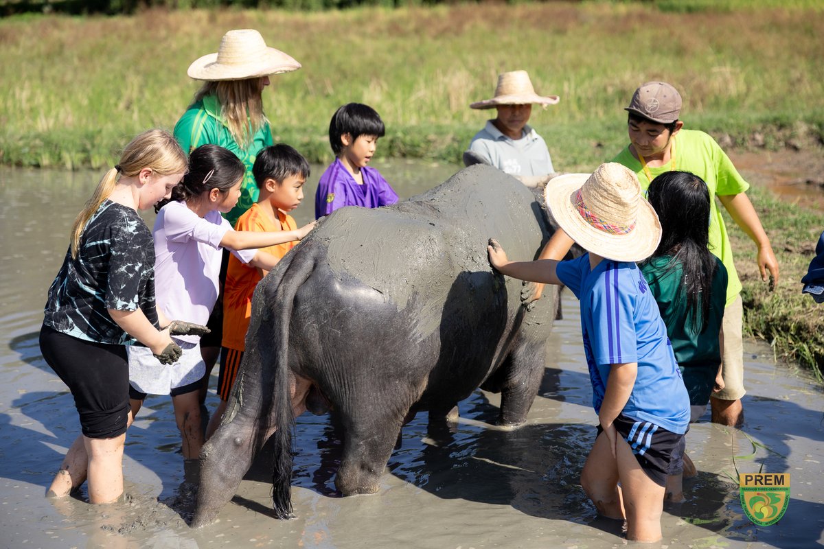 Prem International School tweet media