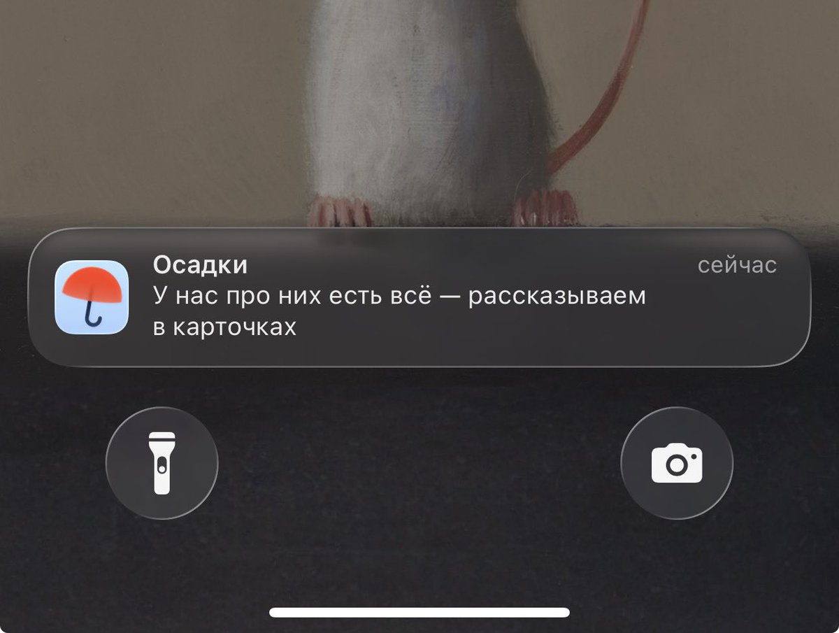 mutno's tweet image. просто показывайте мне блять погоду, а не сторисы, карточки, разборы, подкасты мемы и уникальные предложения