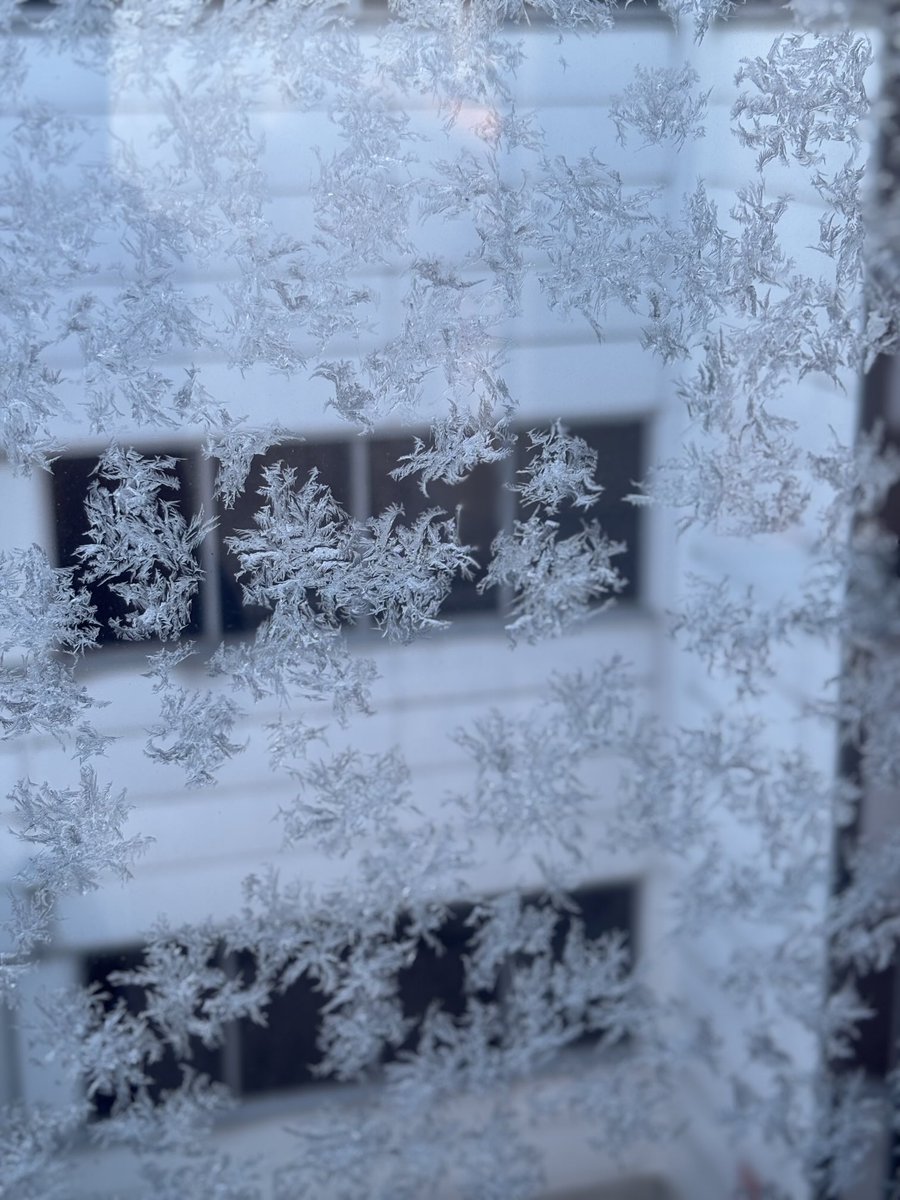 Pakkasen puraisu ikkunoissa ❄️ #ArjenKauneus