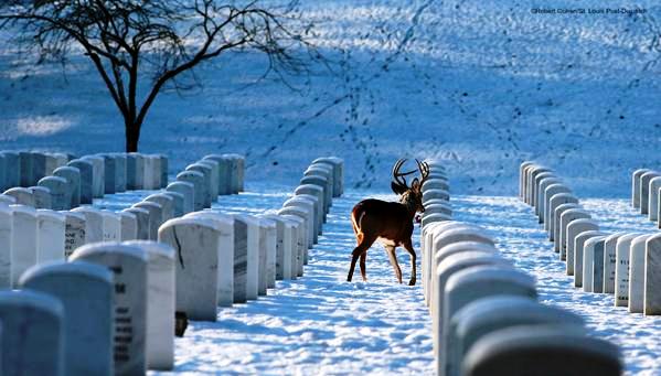 FALLEN HEROES ! Thank You For our FREEDOM 
       youtube.com/watch?v=APmmuy…